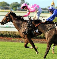 Johnny Whitesox beats his stable mate Skate To Paris last start at Doomben. Winno thinks there will be a reversal in this result this week. (see race 7) 