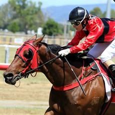 Bonsea (2) won here on Australia Day when Skye Bogenhuber rode the Brian Costello trained gelding. Will lightning strike twice? I think so – he is good odds as well at around the $8 mark. (see race 5)