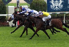 Pennino wins the third race in driving rain at Doomben on Saturday. Can we have a rain free week in Brisbane?