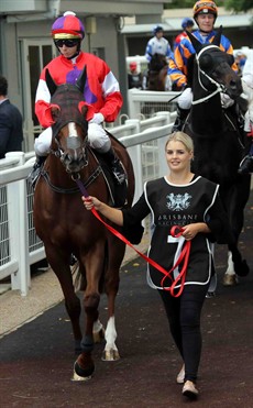 I think that it is a nice race for Oink (13) to return to the winner’s stall. The run at Doomben last start was great on a bog track and he will be ready to shine on the fast Gold Coast track. (see race 3)