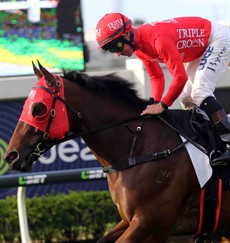 Redzel (with Jim Byrne up) make their way down to the start before their 2017 Doomben 10 000 victory. Can the gelding do ir again?