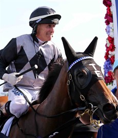 The Toby Edmonds trained Houtzen (14) galloped between races last weekend at the Gold Coast and she was clocked doing some sensational times over the final 100 and 200 metres. She clearly is ready for this assignment – but unfortunately for the stable their (bad) luck in drawing a decent barrier has continued. (see race 8)