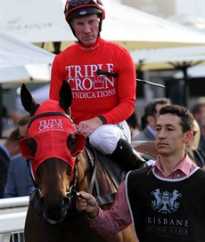 My Best Bet ... Redzel (see race 8)

Photos: Graham Potter