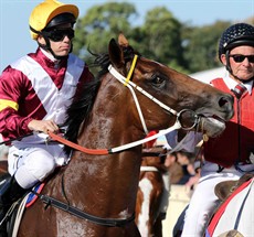 Perast

Queensland Day Stakes winner Perast was excellent time wise, doing it at both ends (43.7/ 35.48), but I have a reservation about him running a strong mile from a Queensland Guineas viewpoint.