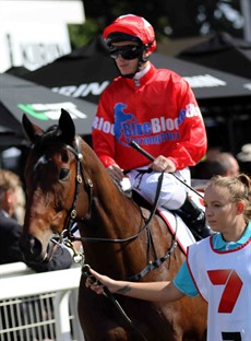 Gai Waterhouse & Adrian Bott have Sedanzer (5) backing up this weekend after an impressive effort a fortnight ago in the Lord Mayor’s Cup (Group 3) when she was caught wide and obliged to race three deep in that race. This she has drawn barrier 1 and they may elect to race forward and take a sit behind Naval Warfare (9) who I expect to lead. (see race 4)