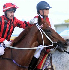 Divine Unicorn (13) looked in need of the run last start second up over the mile. I am anticipating a much better performance this week now he is third up this preparation. The Matthew Dunn gelding lost a plate last start and appeared to be slightly disadvantaged. Brenton Avdulla takes the ride this weekend for the first time. (see race 2)