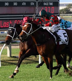 Waller quinellas the Group 1 J.J. Atkins with The Autumn Sun and Zousain