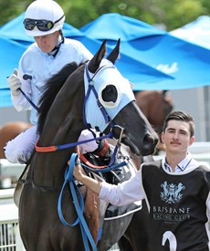 Sheriden the strapper … with champion jockey Jeff Lloyd