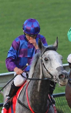 An emotional Damian Browne brings Megablast back to scale after their Caloundra Cup triumph at the Sunshine Coast on Saturday