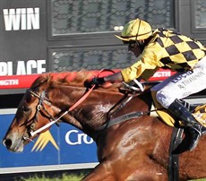 The 2014 Ramornie winner, the aptly named Big Money. That was the year that I had the biggest bet on a horse in my life $150 at $3 on Big Money – who was trained by Rod Northam and ridden by Robert Thompson!