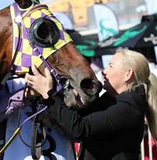 Racing Queensland backed winners such as the Battle Of The Bush (won by the Olivia Cairns trained Mason's Choice ridden by Justin Stanley - pictured above and below) in the thoroughbred code and the State Of Origin showdown at the greyhounds, simple but clever concepts that can only grow in stature next year.
