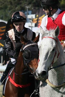 Bayliss takes Tumbler to the start before the third race at Doomben on Saturday in which he gave the favourite a ride which he like to have over again

Photos: Graham Potter