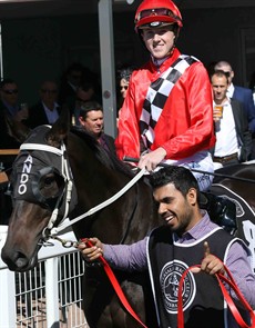 In the Anderson stable colours. Looking to keep the boss happy

Photos: Graham Potter and Darren Winningham