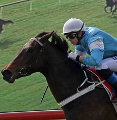 Lacy is riding without a claim at the Sunshine Coast but that hasn't stopped her riding winners … this is Travistee for trainer Paul Jenkins at the Sunshine Coast last Sunday