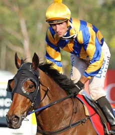 Action Again (2) is looking to win back to back Montgomerie Lightning Plates. Last year he was ridden by Blake Shinn this year he will be ridden by Jarrod Todd (pictured above). He is second up for the Neil Dyer stable who had a successful Cup Day in 2018. I think the first up run was a solid hit out for this assignment and he should be tough to roll here. (see race 2)
