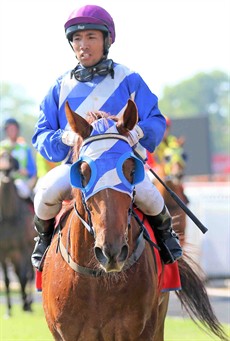 One of Sairyn's winners over the 2018 Darwin Carnival … Sairyn brings Marina back to scale after its victory