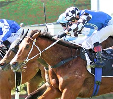 I like the chances of the Kris Lees Racing invader from Newcastle – Tawfiq Boy (4). He resumed at Doomben a fortnight ago and he looked like he needed the run for mine. I think that run would have topped him off nicely for this race and he will be a great chance. (see race 2)