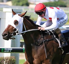 I like the chances of the two Ben Currie runners in the fifth race – Publishing Power (8) and Saipan (7).
Publishing Power (8) has won here previously and I think his best performances are over 1000 metres. He has been running over 1200 metres in his last few starts and I think coming back to the shorter distance will suit him.
