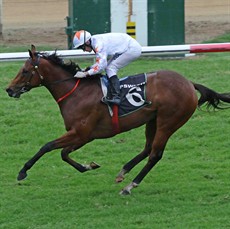 Asharani (see race 4)