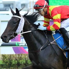 I think that Plumaro (1) - pictured above - from Kevin “Kempy” Kemp stables at Toowoomba is the way to go here. She was first up last start at Doomben. She got out of her ground but in the final 200 metres made up some tremendous ground along the rails when ridden for luck by Dale Smith.