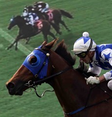 My Best Bet … Bluebrook (see race 3)


Photos: Graham Potter