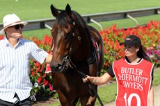 Weboughtazou with ears pricked prior to going out and landing a debut win on November 4