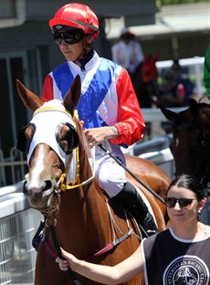 Ben Currie trains Mishani Vaidra (5) who stormed home last start over 2000 metres after winning at the mile at Doomben the start before. Jag Guthmann-Chester takes the ride again this weekend. (see race 2)