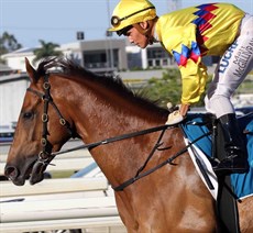 My Best Bet … Coldstone (see race 8)

Photos: Graham Potter