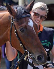 Hills … the debut winner faces crunch time at the Gold Coast tomorrow in her quest for Magic Millions glory
