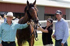 Go Diamonds … a winner at Beaudesert on December 12 where she had to dig deep to claim the spoils after being pressured all the way up the home straight