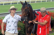 Alligator Blood … pre-race. Ready for his debut