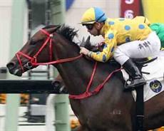 E Star wins for Umberto Rispoli

Photos: Hong Kong Jocley Club and Graham Potter