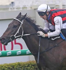 Mr Marbellouz (see race 9)

The favourite is Mr Marbellouz (5) trained by Kevin Kemp at Toowoomba who ran a barnstorming race in winning in a front running display that was superb last start at Doomben. Baylee Nothdurft rode him last start and has retained the ride – he is riding with great confidence. It is wonderful to see trainers putting their faith in these apprentices riding so well currently.
