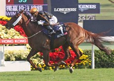 Photos: Darren Winningham and the Hong Kong Jockey Club