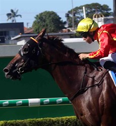 Curdled (4) from the Edmonds Racing team on the Gold Coom a spell. Last start she won at Doomben and gets her first look at the Eagle Farm track. With her barnstorming finish look for the Red and Yellow distinguished colours of Segenhoe to be in the finish this weekend. (see race 9)

Photos: Darren Winningham and Graham Potter