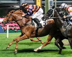 Derek Leung and Speedy King give trainer Ricky Yiu a double.

Photos: Courtesy Hong Kong Jockey Club