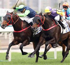 Right Choice (in green) wins the Kowloon Cricket Club Centenary Cup.