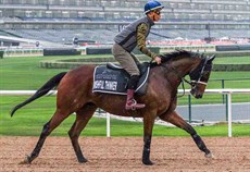 Wishful Thinker drew 13 in the Al Quoz Sprint


Photos: Courtesy Hong Kong Jockey Club