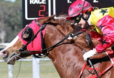 Hannah English
Hannah has a nice book of rides I think she is the front runner for the Jockey's Challenge this week at Kilcoy