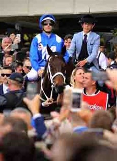 Winx … adoring the adulation

An audience of 42 000 people will fill Randwick to capacity on Saturday (the house full signs went up on Wednesday) but this moment will not be just for racing enthusiasts. Anybody who can find the time should tune in on Saturday from about 2.40pm to watch Winx in action one more time. 

The emotion will be as supercharged the action and it comes with the guarantee that you will be watching something very special.

Photo: Ross Stevenson