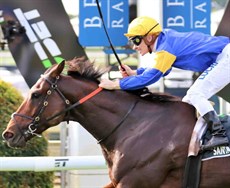 Santa Ana Lane … pictured winning the 2018 Stradbroke