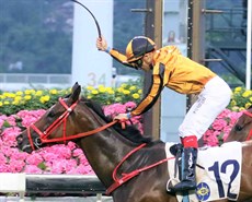 Flying Thunder (race 10)


Photos: Darren Winningham and Graham Potter