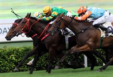Solar Wai Wai (race 9)