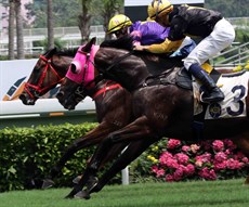 Everyone's Joy (race 3)