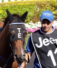 January 14, 2017 … Trent Edmonds leads Houtzen around the parade ring prior to her stunning end to end win in the Magic Millions Two-Year-Old Classic at the Gold Coast