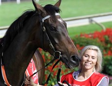 … back in work if not quite back to race riding yet … strapping a winner (Travistee for Paul Jenkins) at the Sunshine Coast on May 3