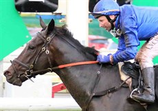 Then you have the new runner on the scene the Godolphin owned, James Cummings trained Plague Stone (3) - pictured above. His debut in QLD could not have been any more impressive when he demolished a good quality field in the Mick Dittman Plate (Listed). He has had 4 weeks since that run and a solid barrier trial at Kembla Grange that he won by 9 lengths. Kerrin McEvoy is aboard. I am going for the royal blue silks here – solely on the fact that Zoustyle is first up and may just find that last 75 metres a struggle! But it will be a great battle down the straight! (see race 4)