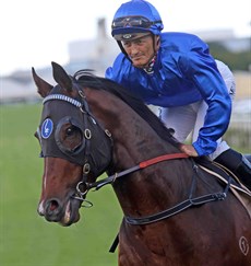 It’s the Kingsford Smith Cup on Saturday which immediately brings back good memories. I won the race last year on Impending (pictured above) in the royal blue silks of Godolphin. That Group 1 win was obviously one of my Queensland Racing Winter Carnival career highlight. 

Photos: Graham Potter and Darren Winningham