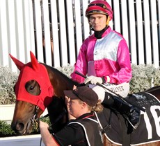 Michael Hellyer and Baccarat Baby on their way out to contest the Fred Best Classic at a starting price of $81