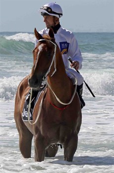 Tye Angland pictured at the Magic Millions beach gallops … a promotion he always supported